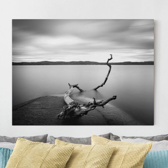 Quadro paesaggio Tramonto in bianco e nero sul lago