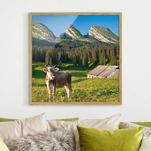 Quadro paesaggio Prato alpino svizzero con mucca