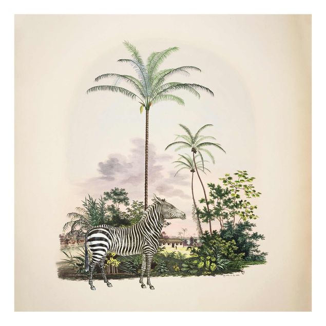 Quadri in vetro con animali Zebra davanti a palme illustrazione