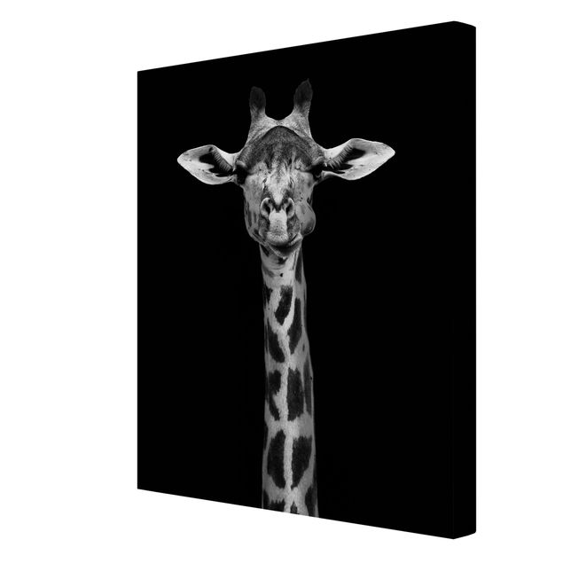 Quadri con animali Ritratto di giraffa scura