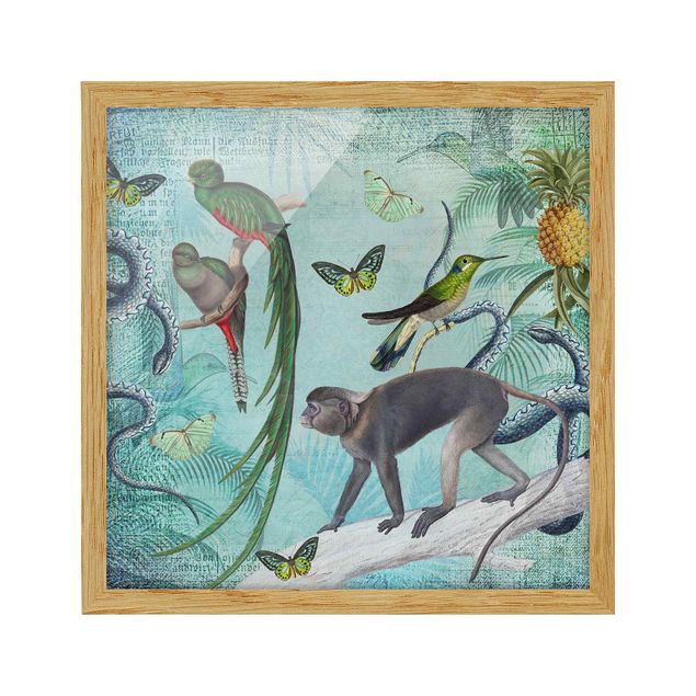 Quadri con fiori Collage in stile coloniale - Scimmie e uccelli del paradiso