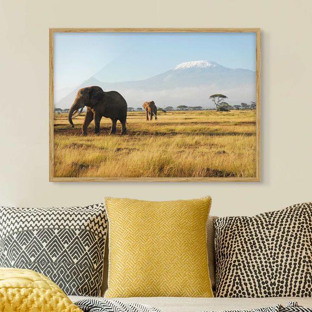 Quadro Africa Elephants In Front Of The Kilimanjaro In Kenya