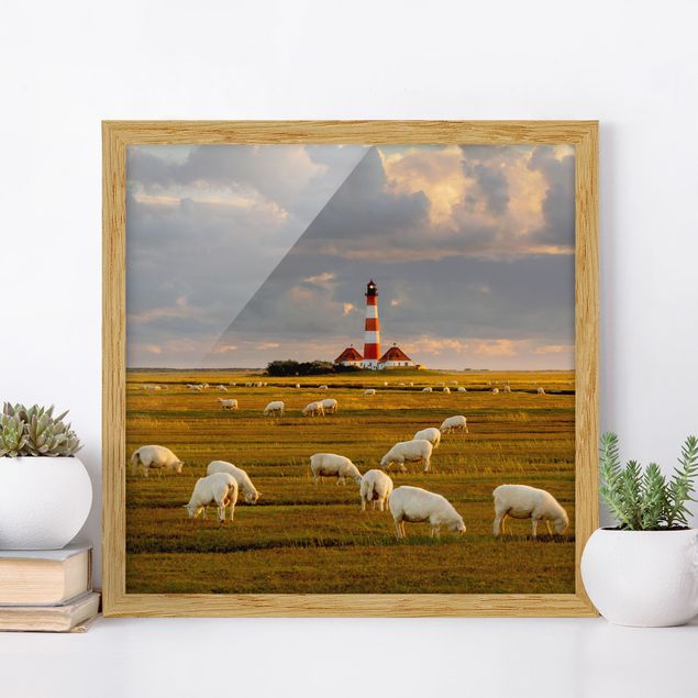 Quadri con cornice con spiaggia Faro sul Mare del Nord con gregge di pecore