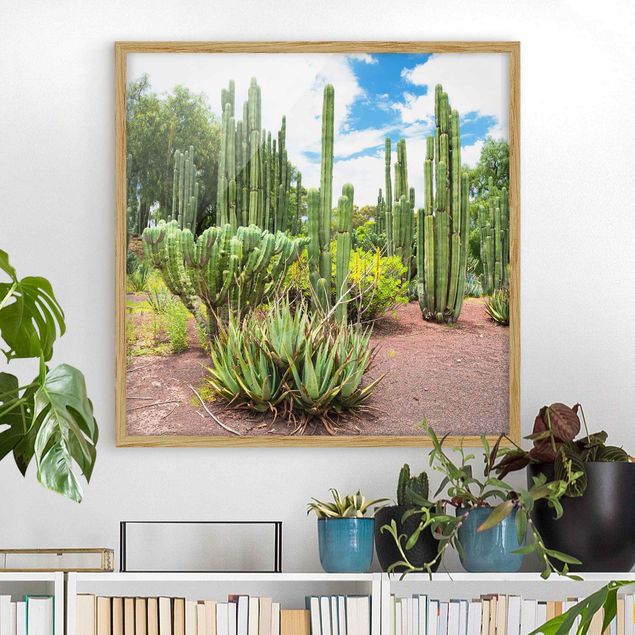 Quadri paesaggistici Paesaggio di cactus