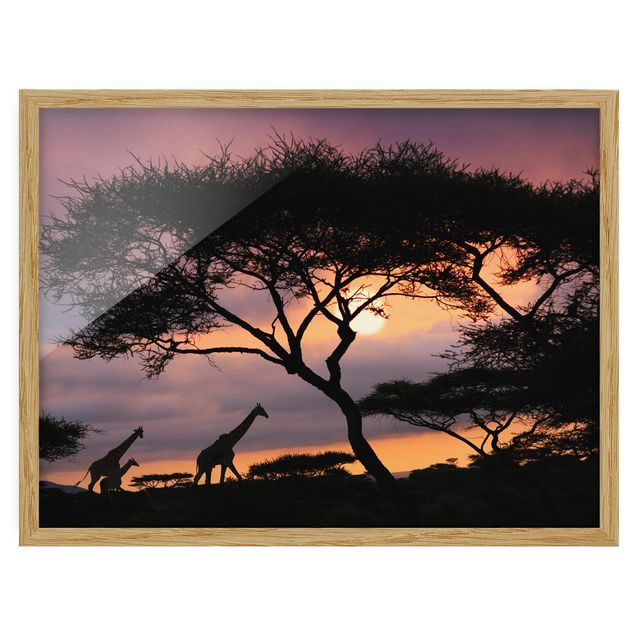 Quadri con cornice con paesaggio Safari africano