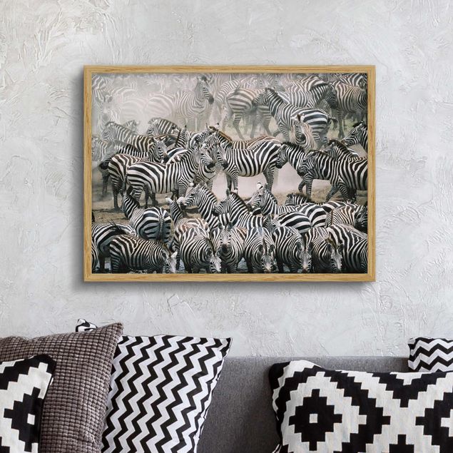 Quadro Africa Branco di zebre