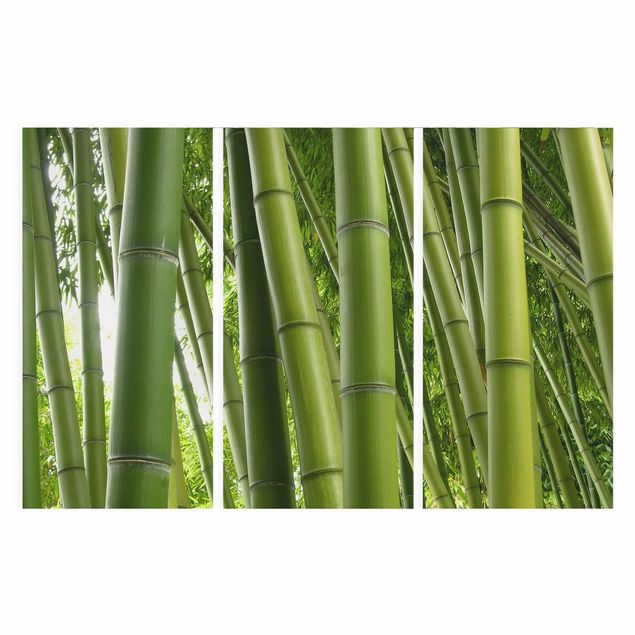 Tele componibili Alberi di bambù