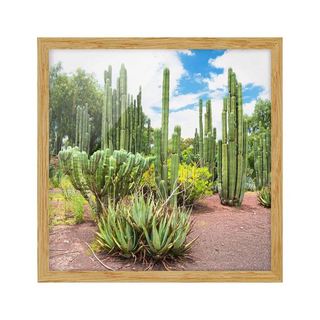 Quadri floreali moderni Paesaggio di cactus