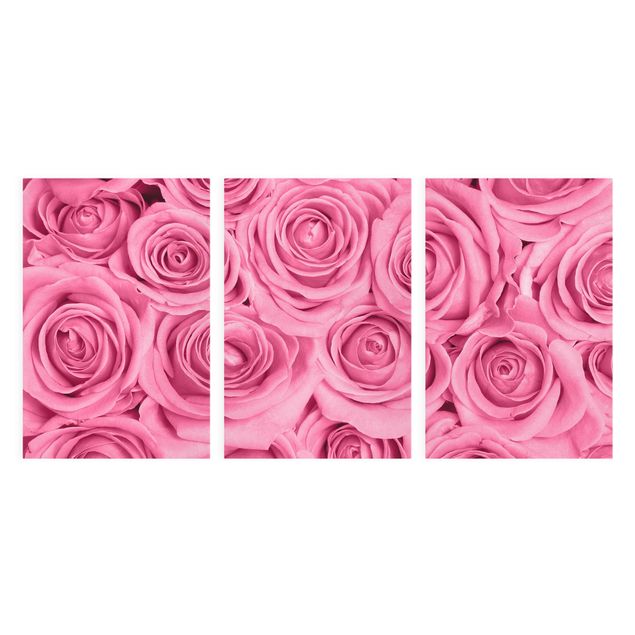 Quadri con fiori Rose rosa
