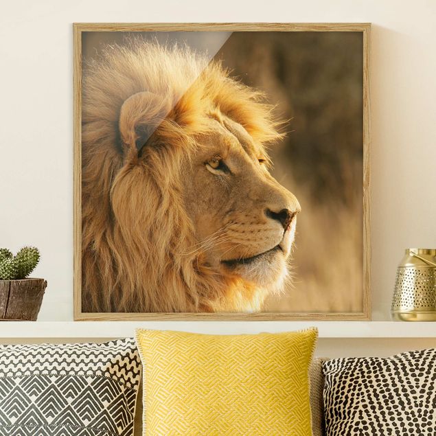 Quadri leone Lion King