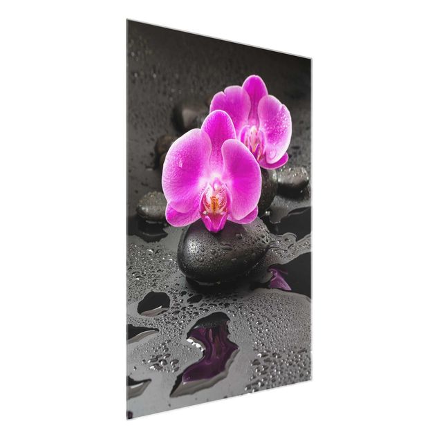 Quadri moderni   Fiore di orchidea rosa su pietra con gocce