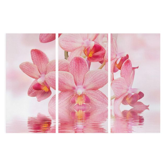 Quadri di fiori Orchidea rosa chiaro sull'acqua