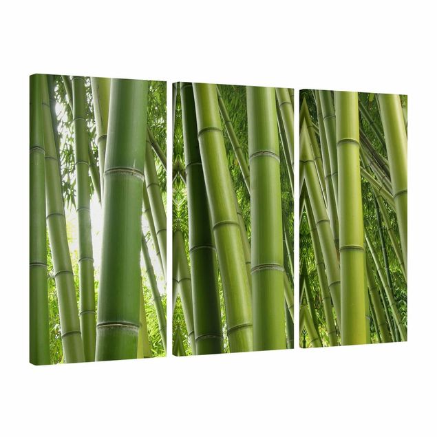 Quadro alberi Alberi di bambù