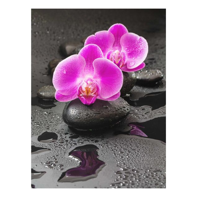 Quadri con fiori Fiore di orchidea rosa su pietra con gocce