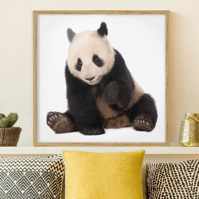 Decorazioni camera bambini Zampe di panda