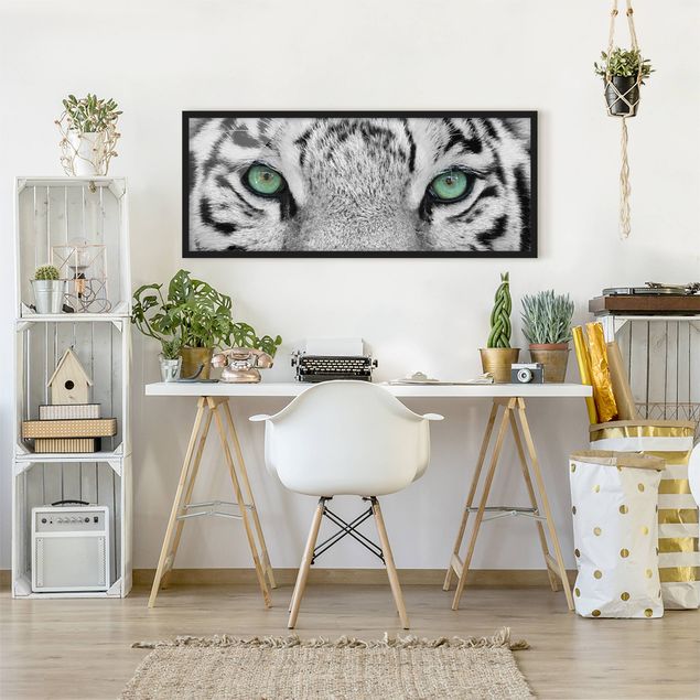 Quadri con cornice con animali Tigre bianca