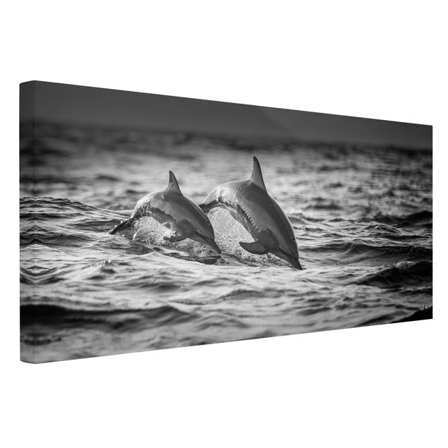 Quadri in bianco e nero Due delfini che saltano