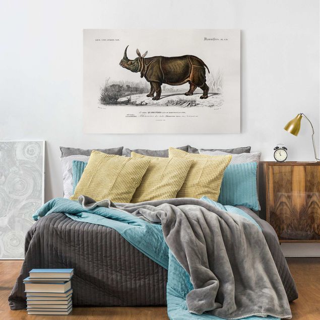 Quadri su tela Africa Bacheca Vintage Rinoceronte