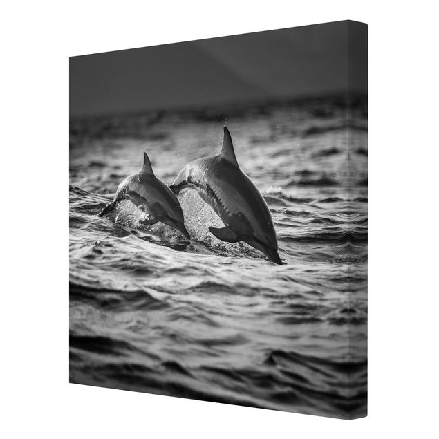 Stampe Due delfini che saltano