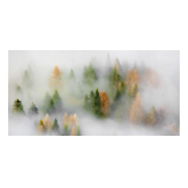 Quadri sulla natura Foresta di nuvole in autunno