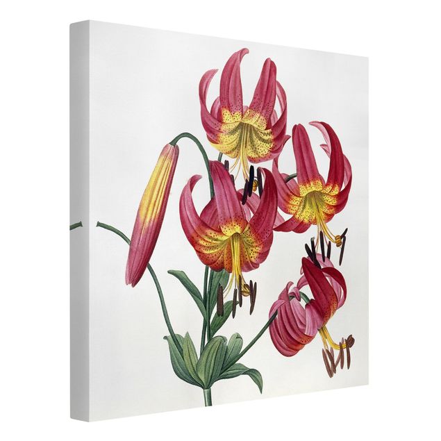 Quadri con fiori Pierre Joseph Redoute - Lilium Superbum