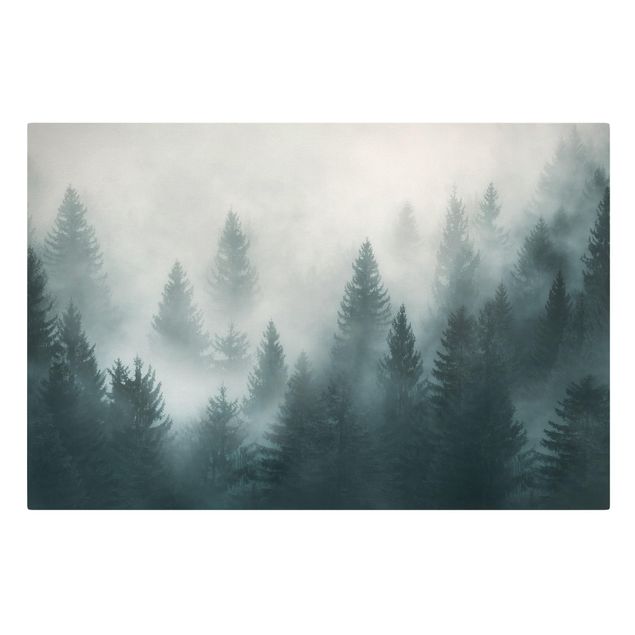 Quadri natura Foresta di conifere nella nebbia