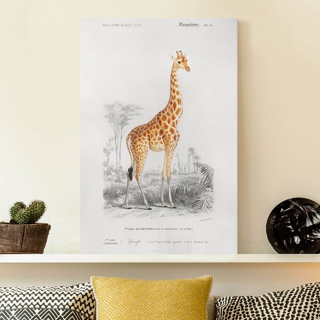Quadri su tela con giraffe Bacheca vintage Giraffa