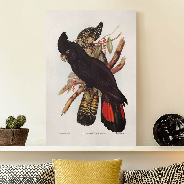 Quadri su tela con uccelli Illustrazione vintage Cacatua nero Oro nero