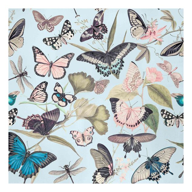 Riproduzioni quadri Collage vintage - Farfalle e libellule