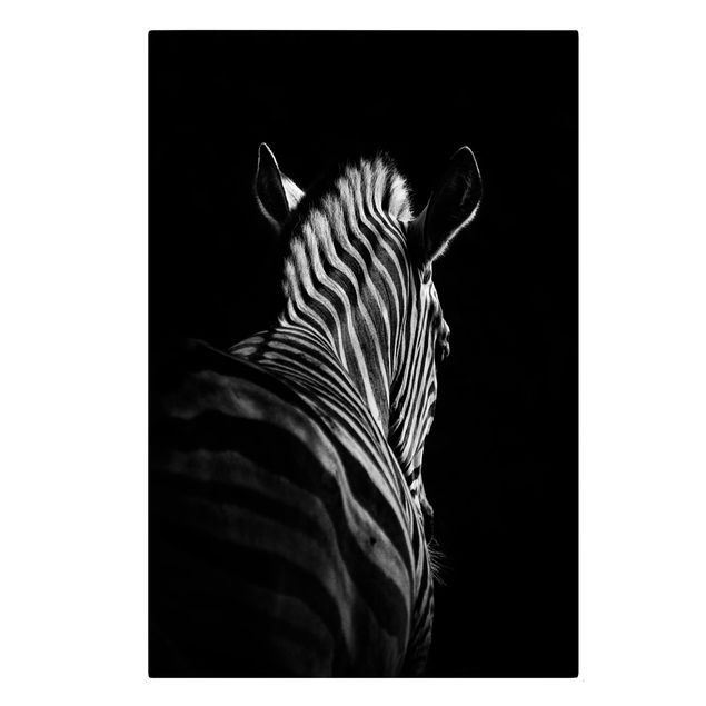 Quadri con animali Silhouette Zebra scuro