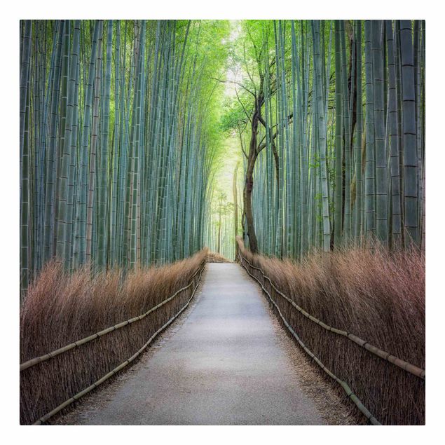 Quadri sulla natura Il sentiero attraverso il bambù
