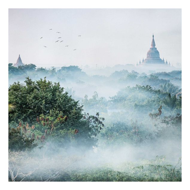 Quadri con alberi Nebbia mattutina sulla giungla di Bagan