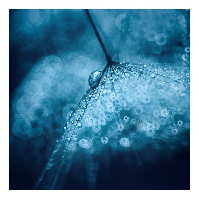 Quadri blu Soffione blu sotto la pioggia