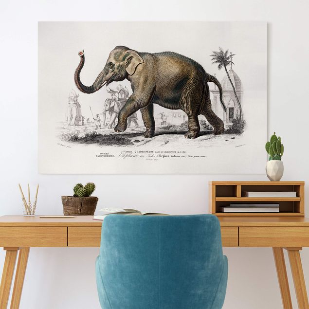Quadri su tela con elefanti Bacheca vintage Elefante