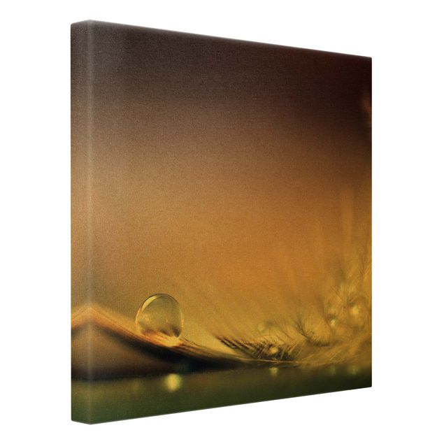 Quadro su tela oro - Story of a Waterdrop