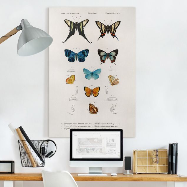 Quadri su tela con farfalle Bacheca Vintage Farfalle I