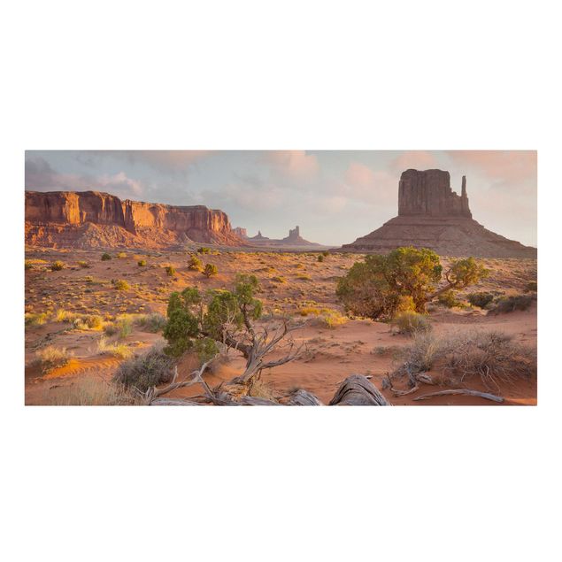 Quadri natura Parco tribale Navajo della Monument Valley in Arizona