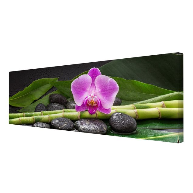 Quadri con fiori Bambù verde con fiore di orchidea
