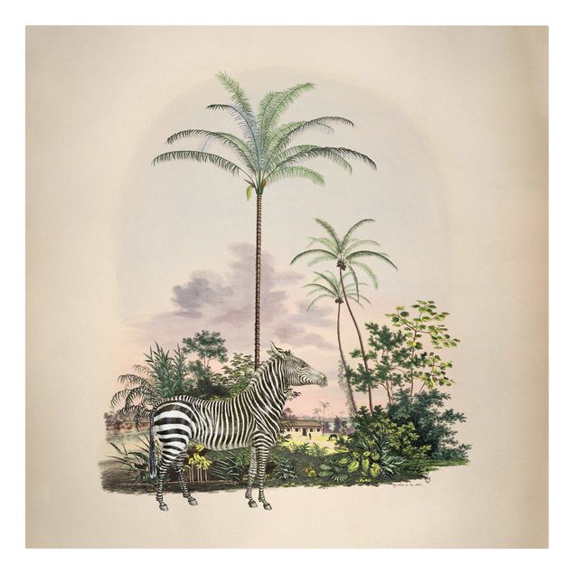 Quadri vintage Zebra davanti a palme illustrazione