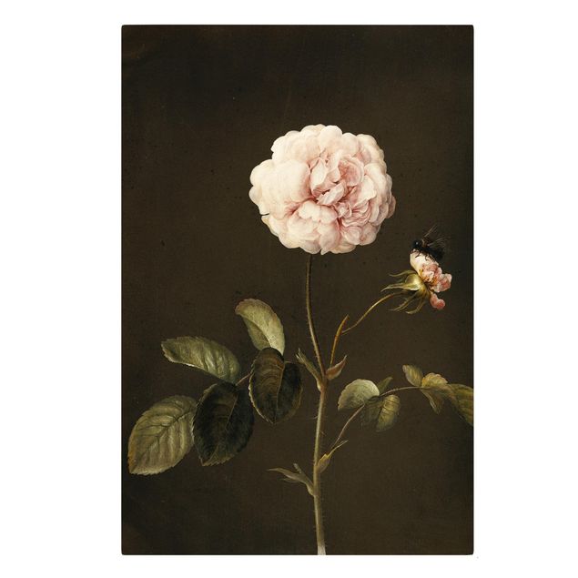 Quadri di fiori Barbara Regina Dietzsch - Rosa francese con bumblbee