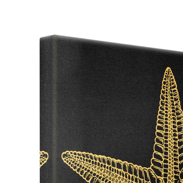 Quadro su tela oro - Illustrazione di stella marina su nero