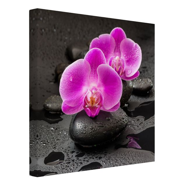 Quadro moderno Fiore di orchidea rosa su pietra con gocce