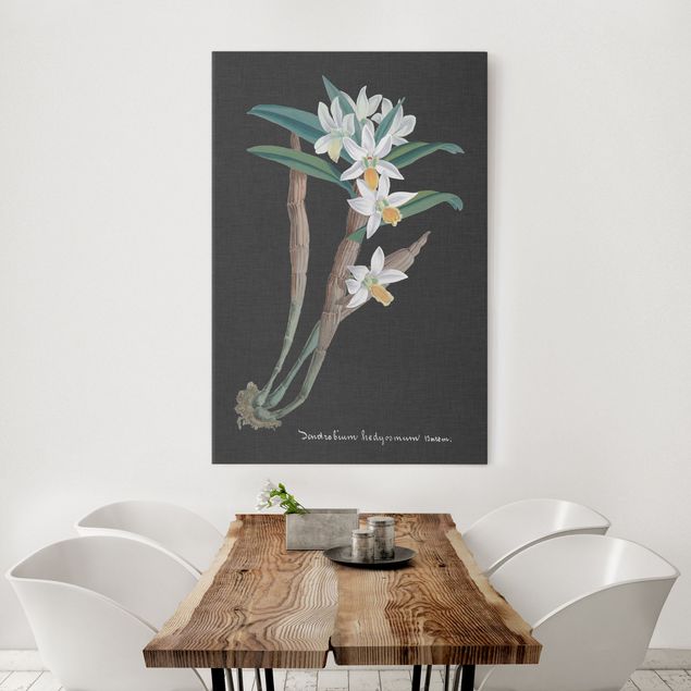 Quadri fiori Orchidea bianca su lino I