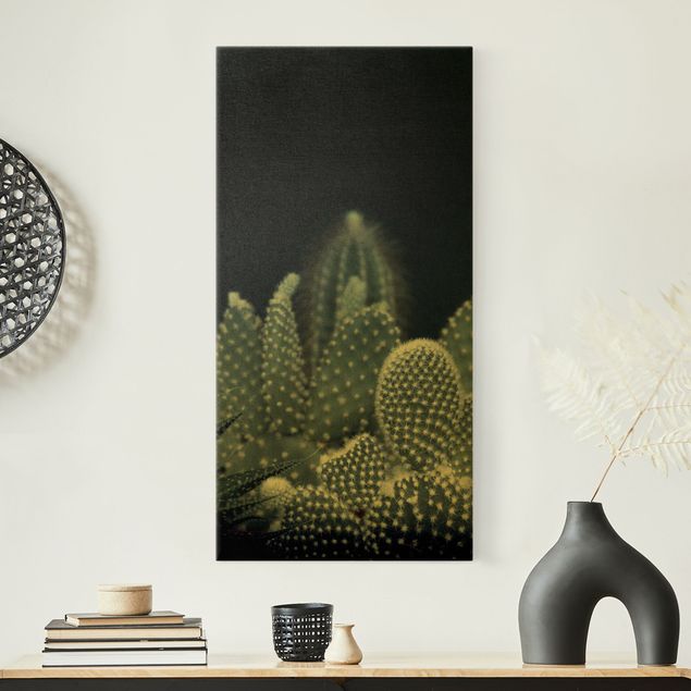 Quadri fiori Famiglia di cactus di notte