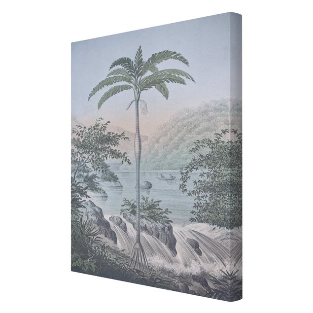 Quadri Andrea Haase Illustrazione vintage - Paesaggio con palma
