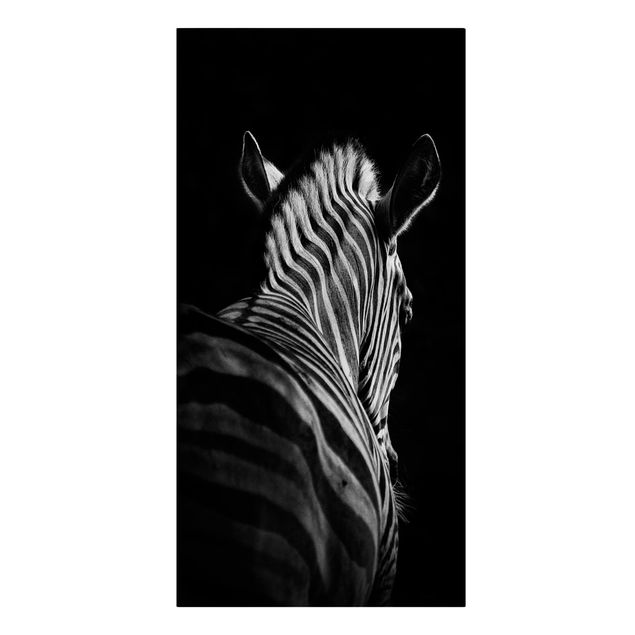 Quadri con animali Silhouette Zebra scuro