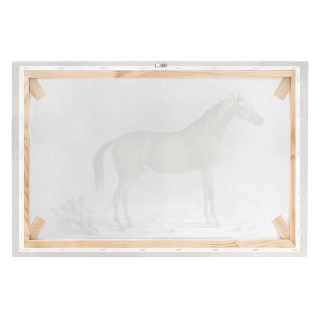 Stampe Bacheca Vintage Cavallo