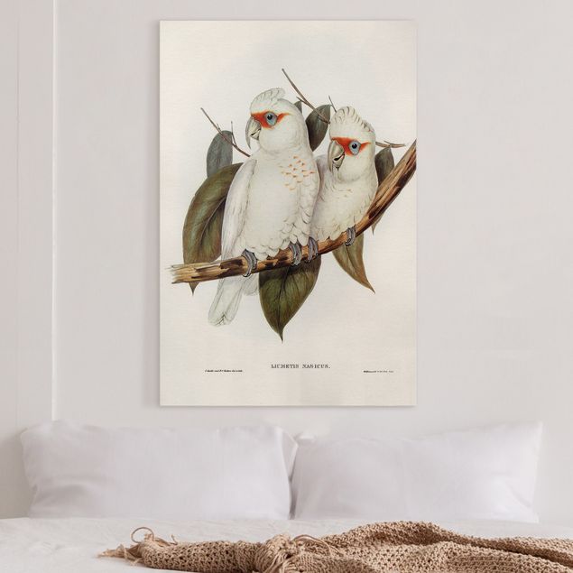 Quadri su tela con uccelli Illustrazione vintage Cacatua bianco