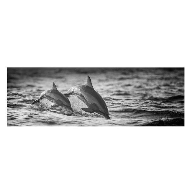 Quadro animali Due delfini che saltano