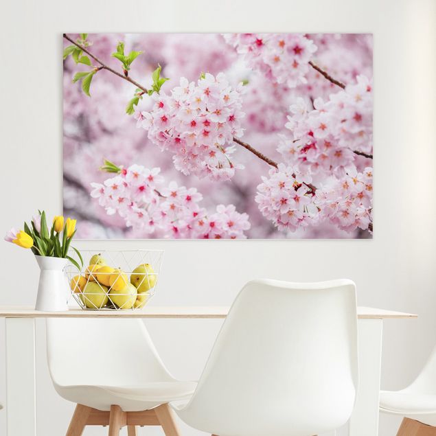 Quadri Asia Japanische Kirschblüten